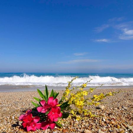 Almyra Beach House Corfu Almiros Beach ภายนอก รูปภาพ