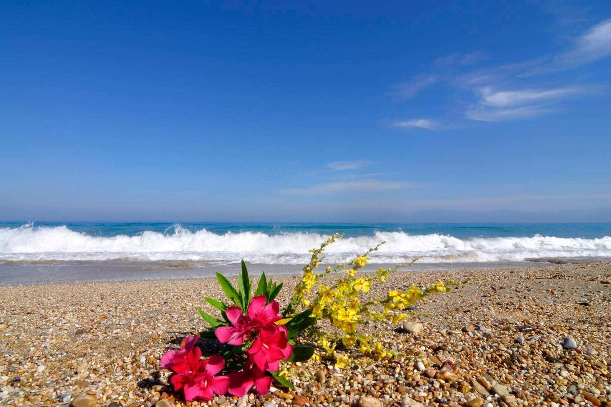Almyra Beach House Corfu Almiros Beach ภายนอก รูปภาพ